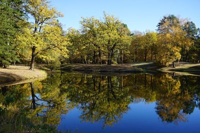 Reflection of trees in lake against sky