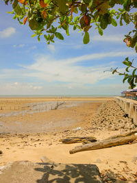 Scenic view of beach against sky