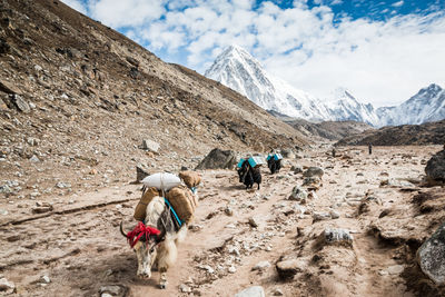 People riding motorcycle on snowcapped mountain against sky