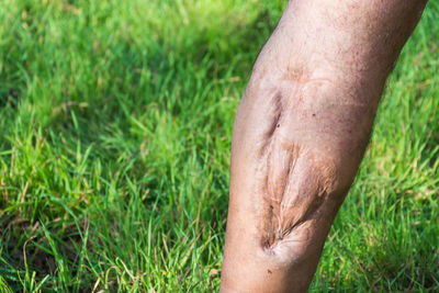 Close-up of human hand