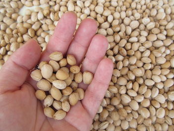 Close-up of cropped hand