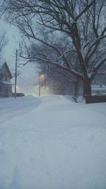 Snow covered landscape