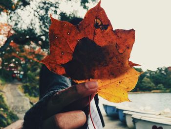 Close-up of person holding autumn leaf in front of face