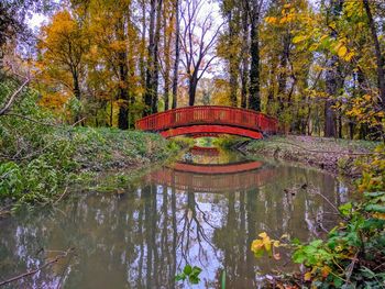 Gazebo amidst trees in forest during autumn