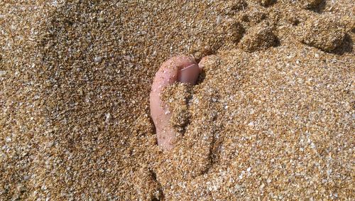 Human foot on sand