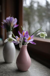 Close-up of purple flower in vase