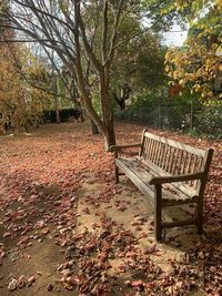 Empty bench in park during autumn