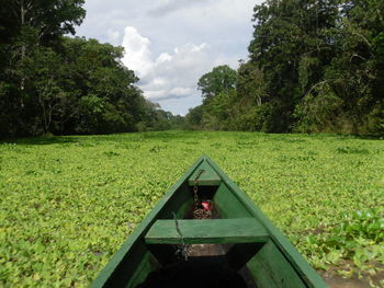 Boat on field by trees against sky