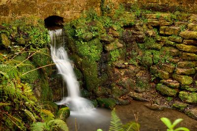 Scenic view of waterfall