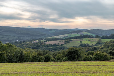 Scenic view of field against sky