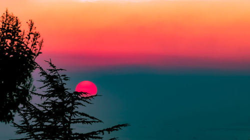 Silhouette of plant against sea at sunset