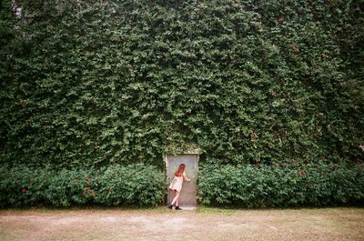 Man standing by tree against grass