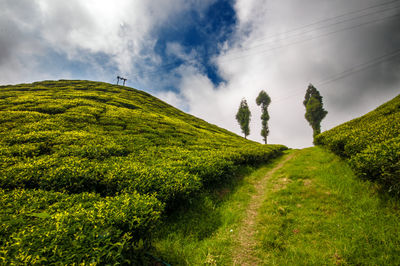 Scenic view of landscape against sky