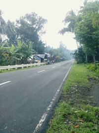 Cars on road against trees