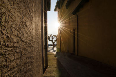 Sunlight and tree seen through alley