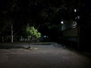 Illuminated street lights at night