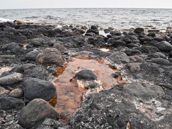 Surface level of rocks on shore