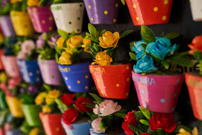 Close-up of potted plants at market stall