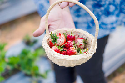 Midsection of person holding ice cream in basket