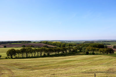 Scenic view of landscape against clear sky