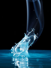 Close-up of jellyfish in water