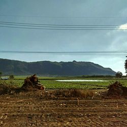 Scenic view of landscape against sky