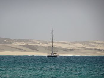 Sailboat sailing on sea against clear sky