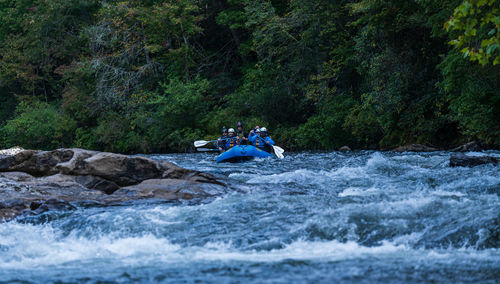 Man surfing in river against trees