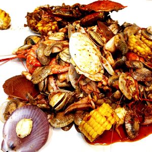 Close-up of seashells on plate