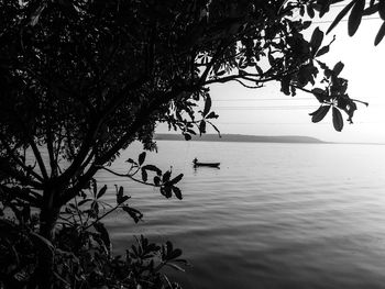 Tree by sea against sky