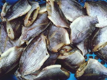 Full frame shot of fish for sale in market