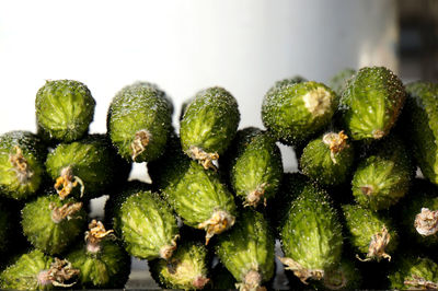 Close-up of vegetables in water