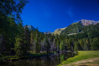 Scenic view of lake and trees against blue sky