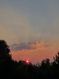 Low angle view of silhouette trees and buildings against sky during sunset