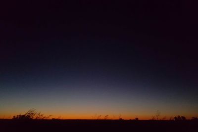 Silhouette trees against sky at night
