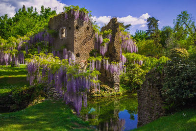 Panoramic view of flower trees in garden against sky