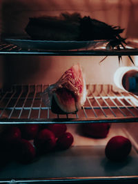 Close-up of a bird on a table
