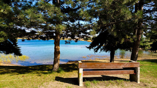 Bench on tree by sea against sky