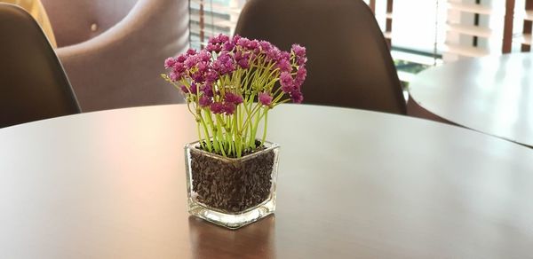 Midsection of woman standing by potted plant on table