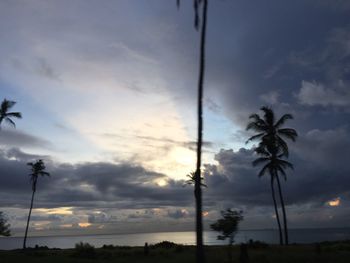 Low angle view of silhouette palm trees against sky