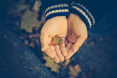 Cropped hands of girl holding leaf