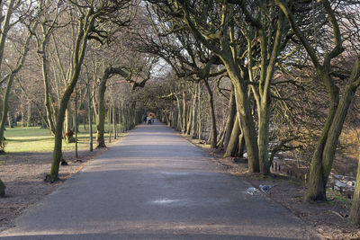 Empty road along trees in park