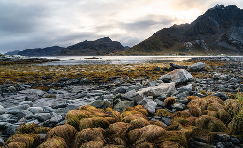 Scenic view of rocks in sea against sky