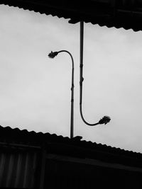 Low angle view of bird against sky