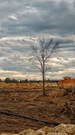 Bare tree on landscape against sky