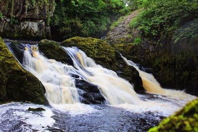 View of waterfall in forest