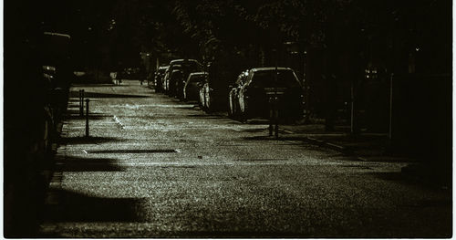 Street amidst trees in city