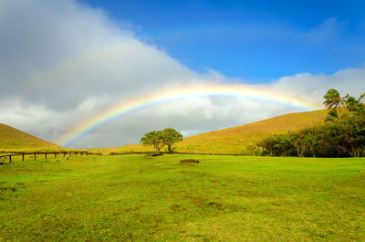 Scenic view of double rainbow over field against cloudy sky