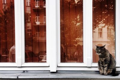 Closed window of house