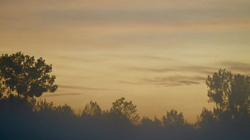 Low angle view of silhouette trees against sky at sunset